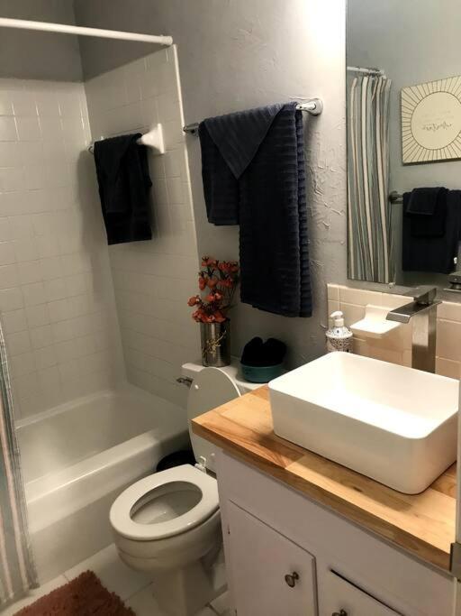 Cheerful 3 Bedroom 2Ba Home In Great Neighborhood! Jacksonville Extérieur photo